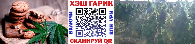 Еда ТГК конопля  даркнет сайт  Канск 