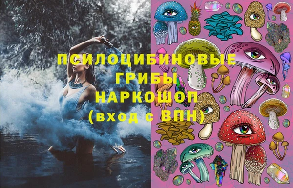 гидра Алексин