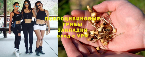 a pvp Абаза