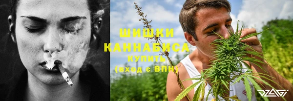 PSILOCYBIN Алексеевка