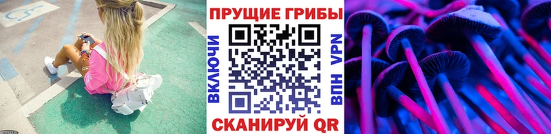 наркошоп  Канск  мориарти Telegram  Галлюциногенные грибы мухоморы 